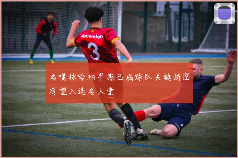 名嘴称哈珀早期已成球队关键拼图有望入选名人堂