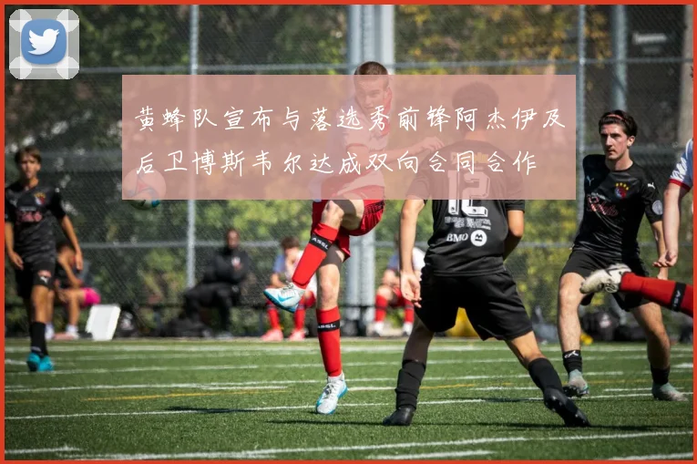 黄蜂队宣布与落选秀前锋阿杰伊及后卫博斯韦尔达成双向合同合作